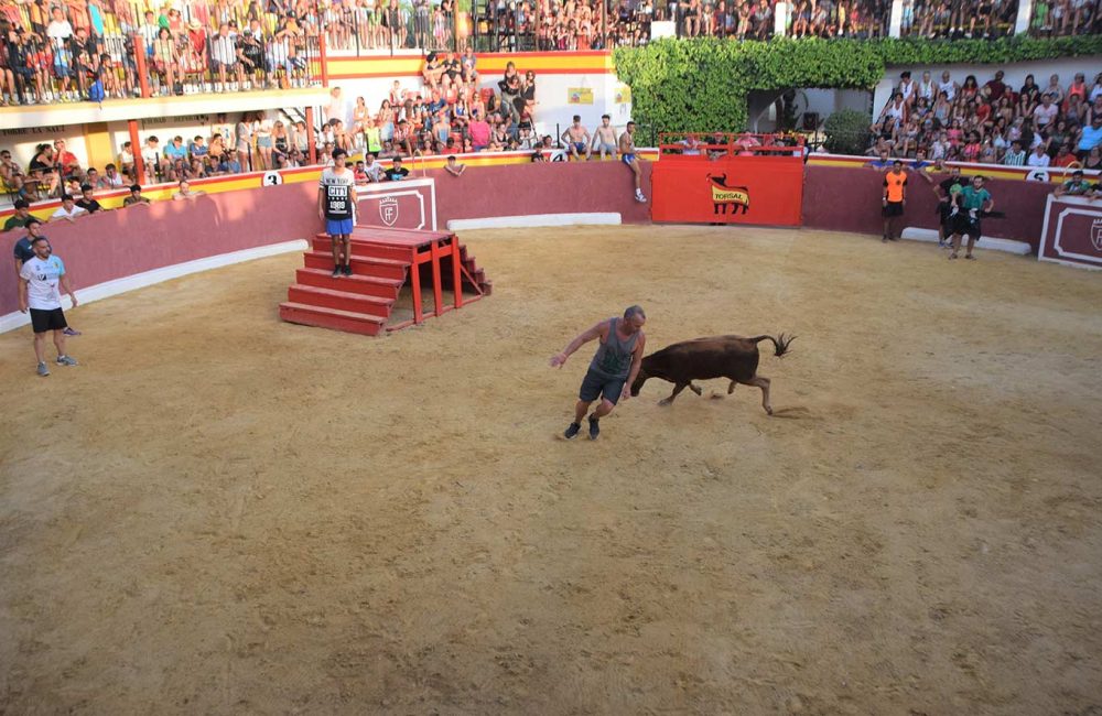 PLAZA DE TOROS VAQUILLAS