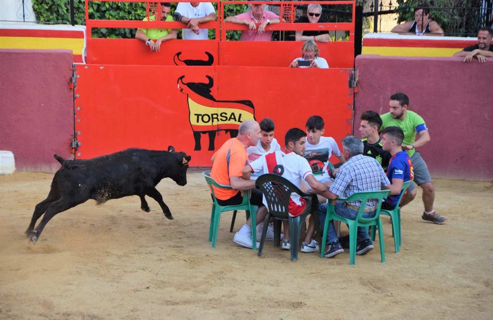 PLAZA DE TOROS VAQUILLAS 2